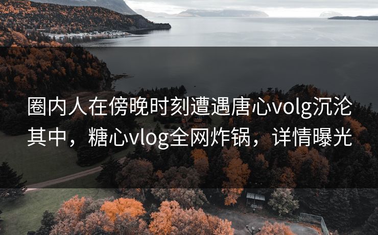 圈内人在傍晚时刻遭遇唐心volg沉沦其中，糖心vlog全网炸锅，详情曝光