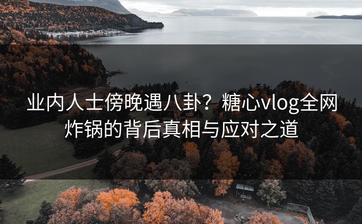 业内人士傍晚遇八卦？糖心vlog全网炸锅的背后真相与应对之道