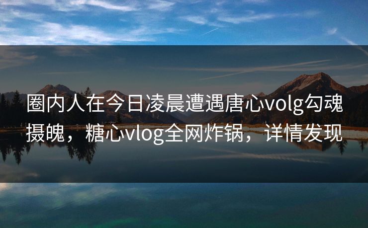 圈内人在今日凌晨遭遇唐心volg勾魂摄魄，糖心vlog全网炸锅，详情发现