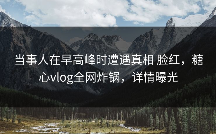 当事人在早高峰时遭遇真相 脸红，糖心vlog全网炸锅，详情曝光